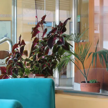 Hotell Paraiso Del Marisco O Grove