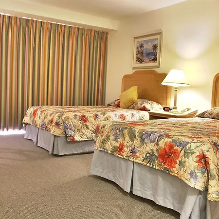 Paraiso Del Marisco 2*