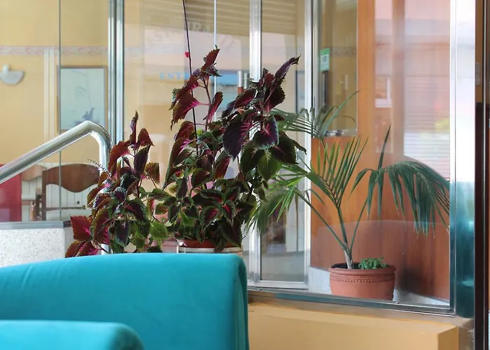 Otel Paraiso Del Marisco O Grove